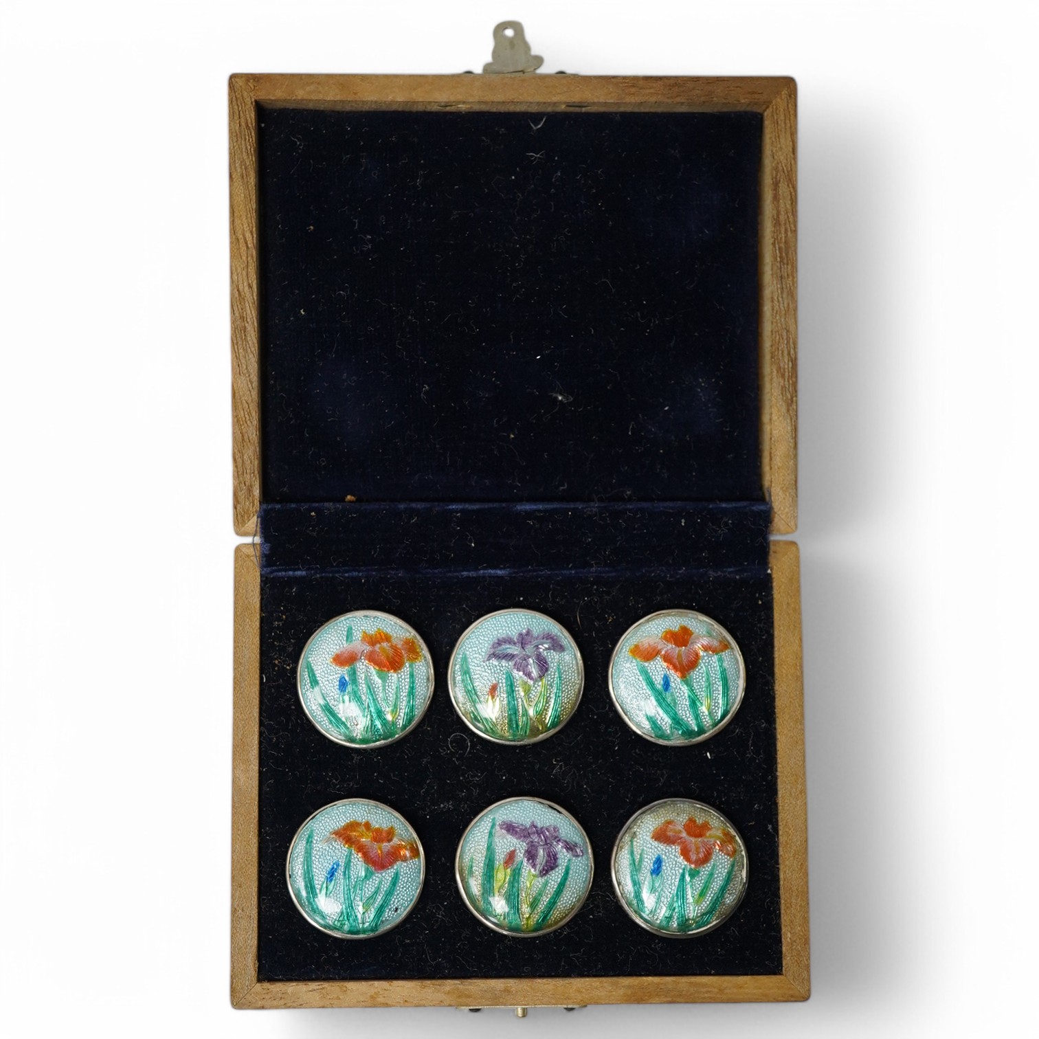 An early 20th century cased set of 6 Japanese white metal buttons, enamelled with irises, 22mm. Condition - good